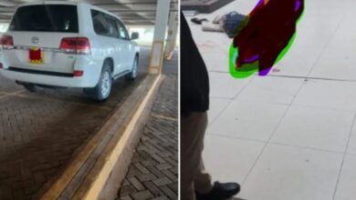 FB IMG 1761884238343