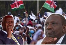 572061552 24320436297633730 251957179174719460 n